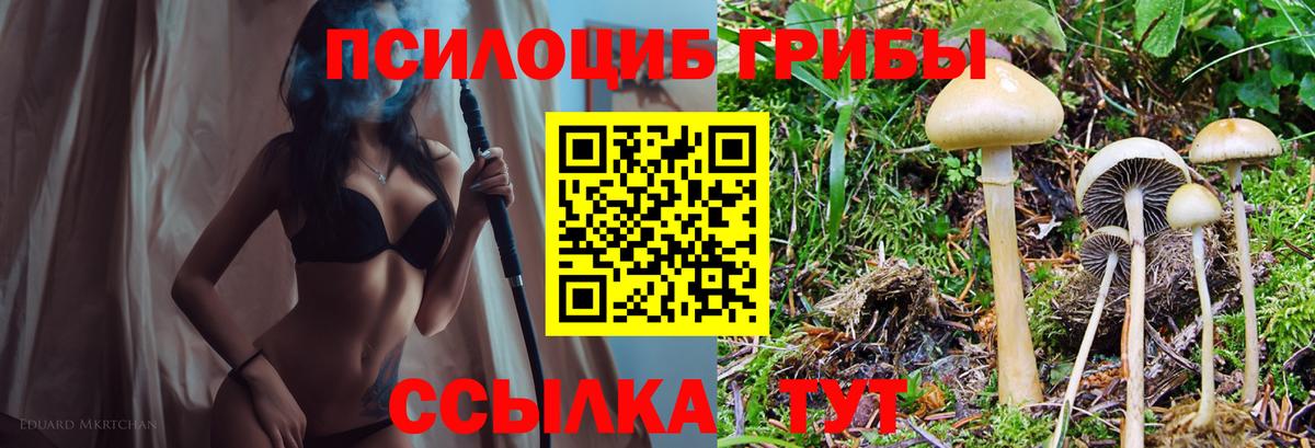 Обнинск  Псилоцибиновые грибы Psilocybe  Вход с VPN 